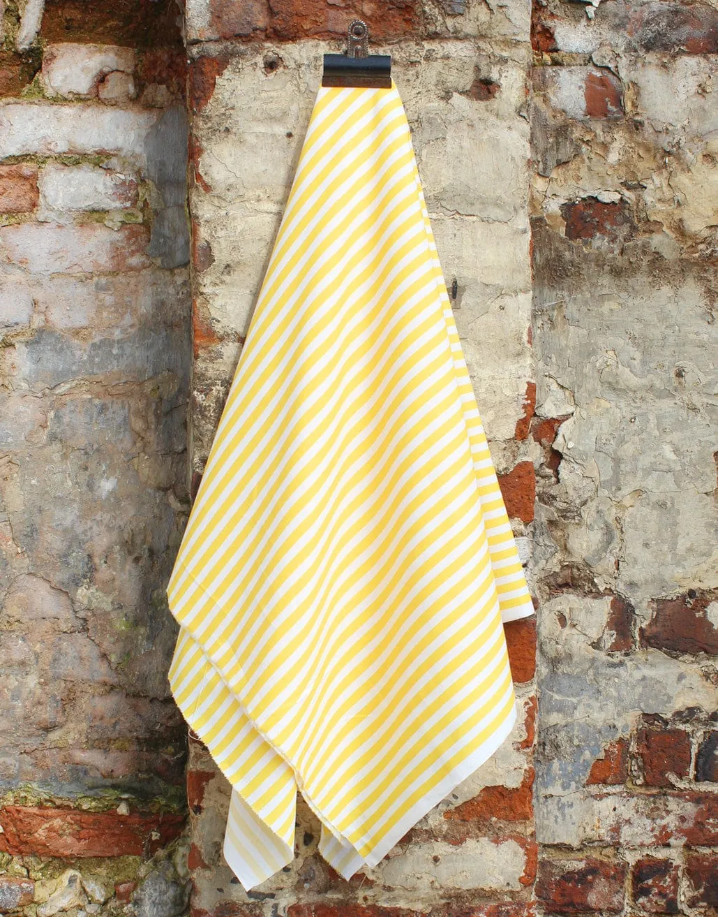 Striped Cotton Poplin Fabric