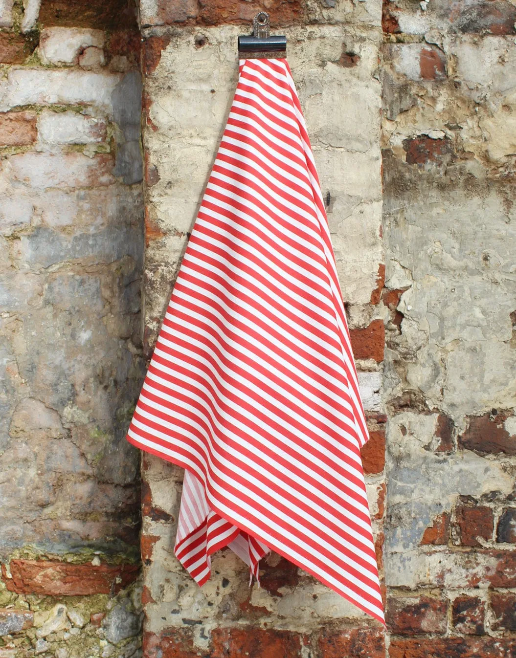Striped Cotton Poplin Fabric